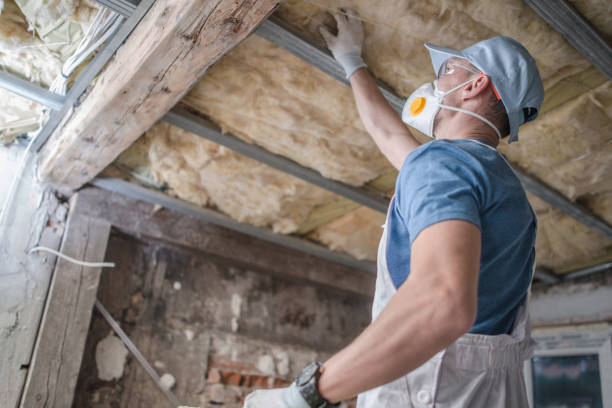 Best Insulation Installation Services in Alum Rock, CA