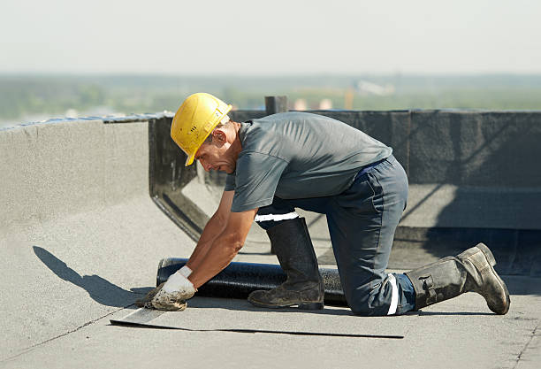 Best Specialty Insulation in Alum Rock, CA
