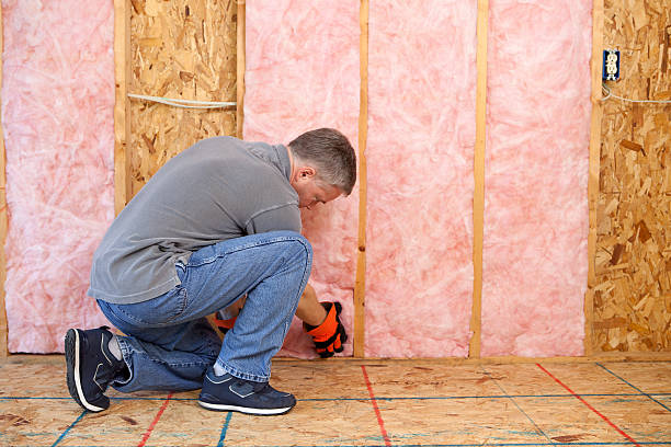 Best Insulation Maintenance and Repair in Alum Rock, CA